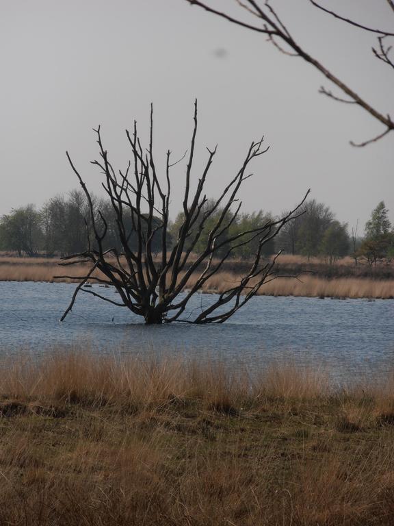 Gezond Boeren Verstand Dalerveen Zewnętrze zdjęcie